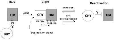 FIG. 8