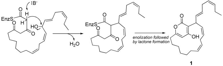 Scheme 1