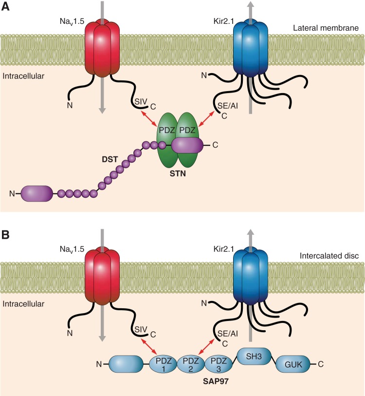 Fig. 2.