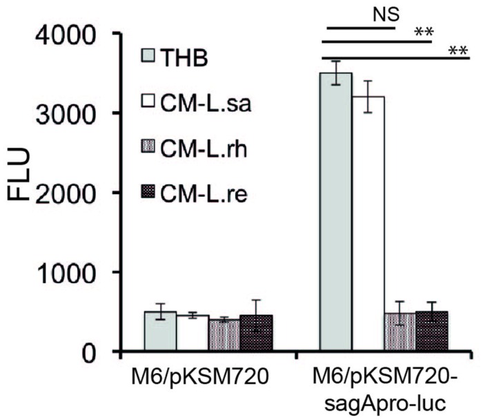 FIGURE 4