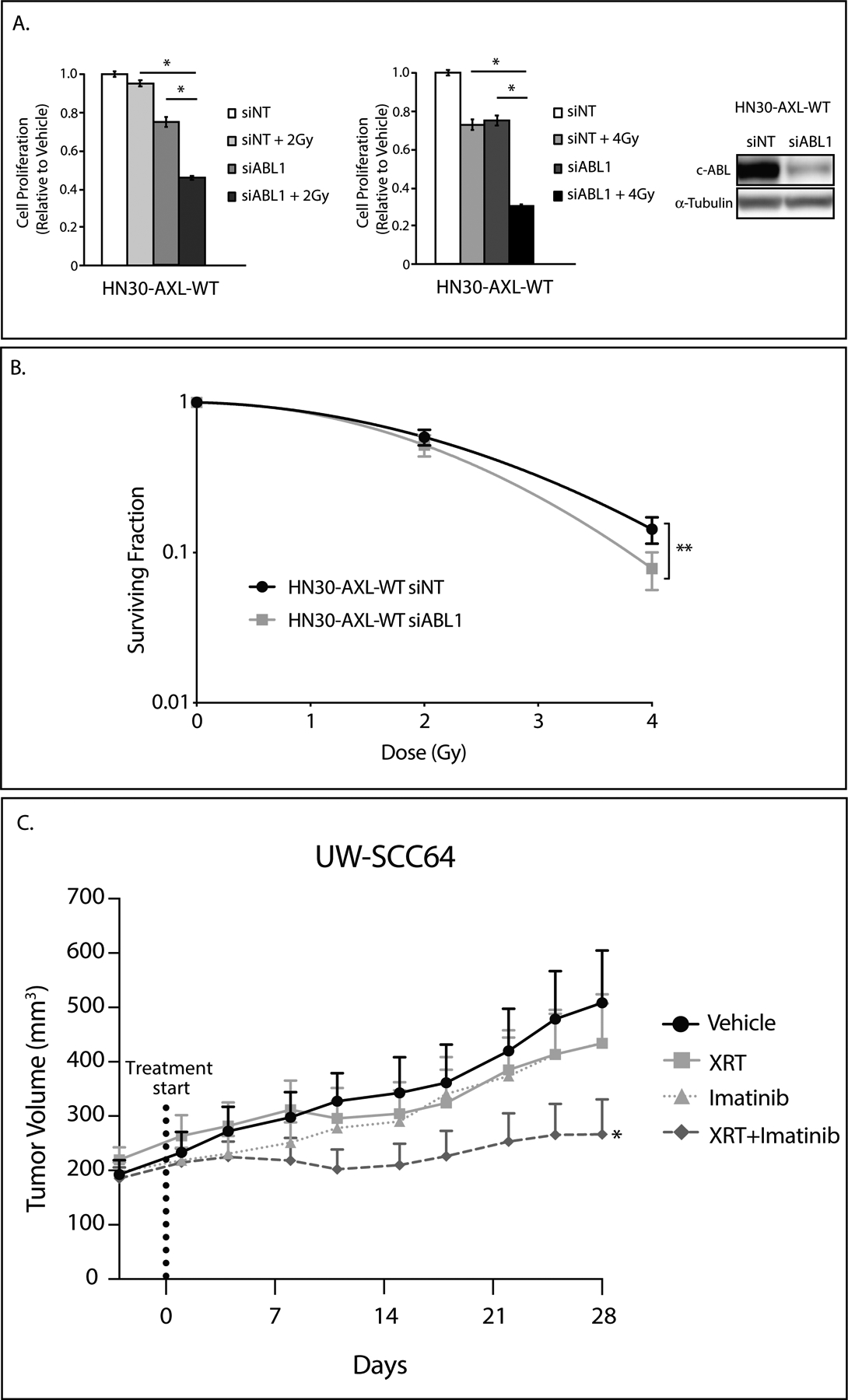 Figure 6: