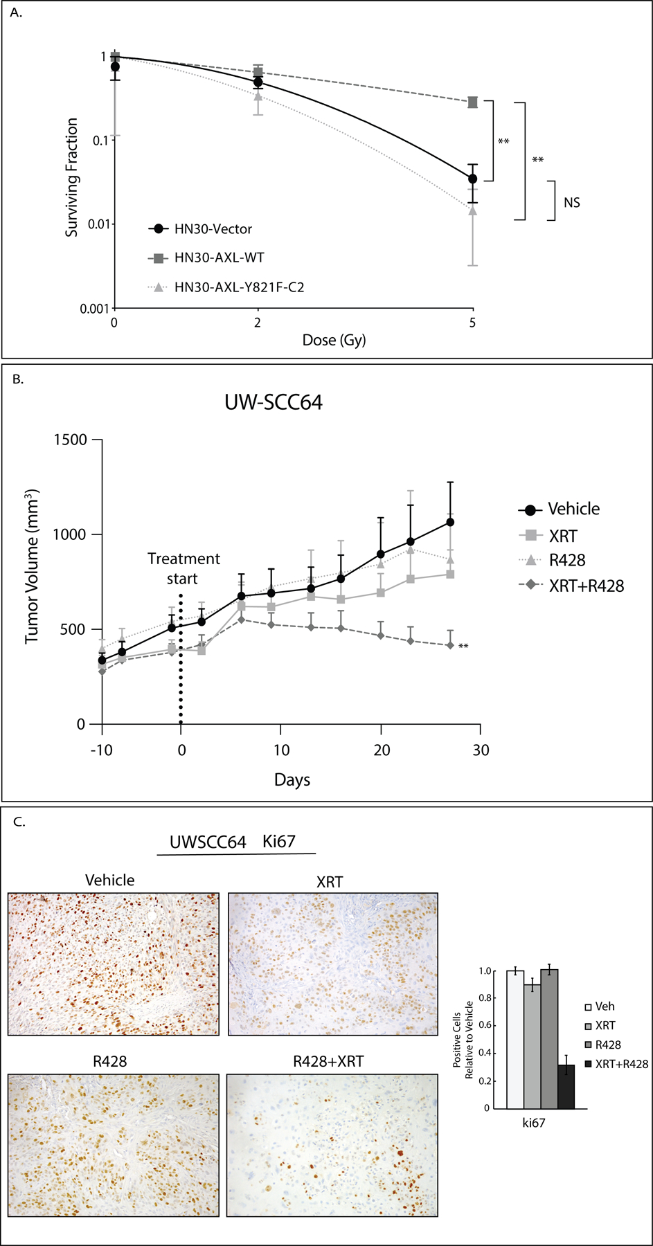 Figure 5: