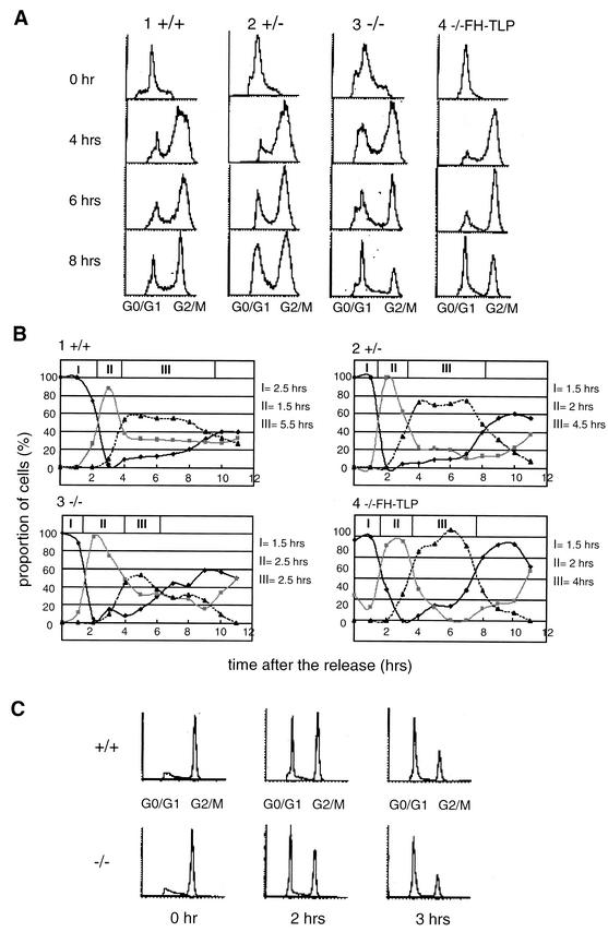 FIG. 2.