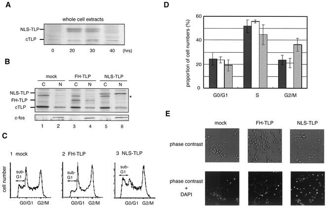 FIG. 4.