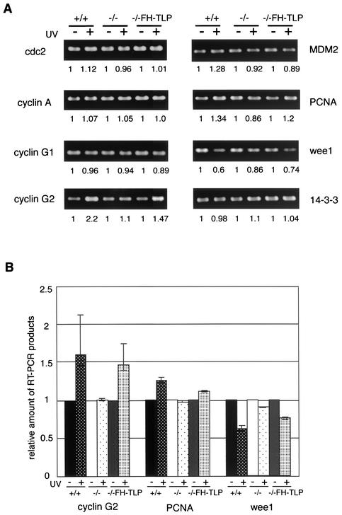 FIG. 7.