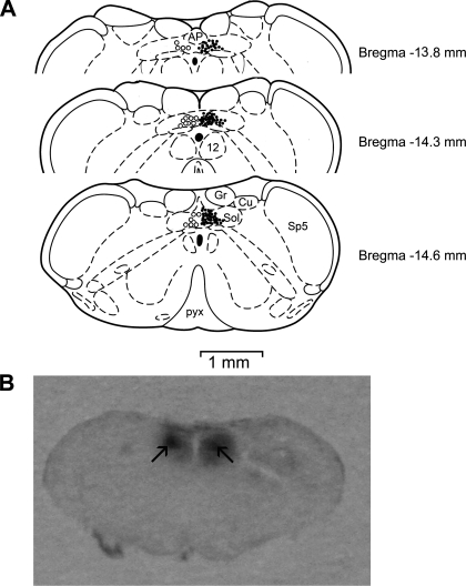 Fig. 5.