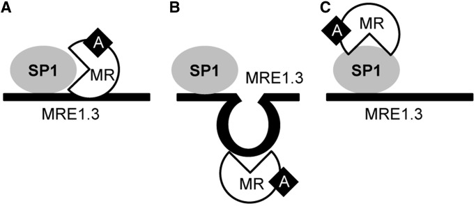 Figure 13.