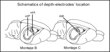 graphic file with name nihms-105396-f0001.jpg