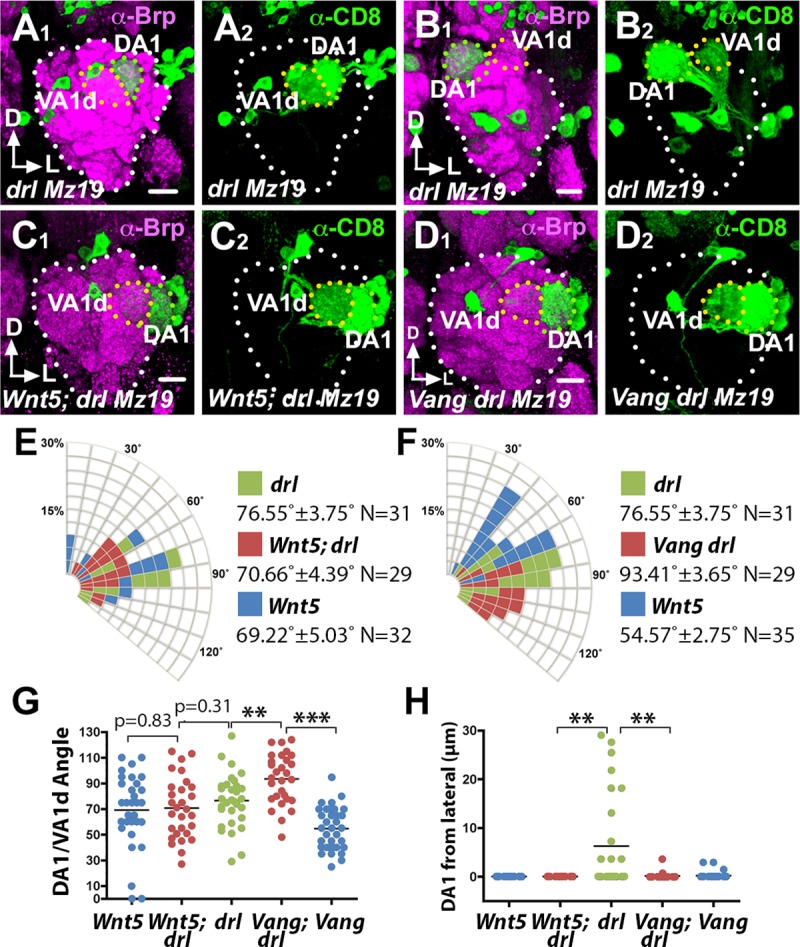 Fig 10