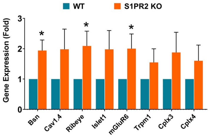 Figure 10