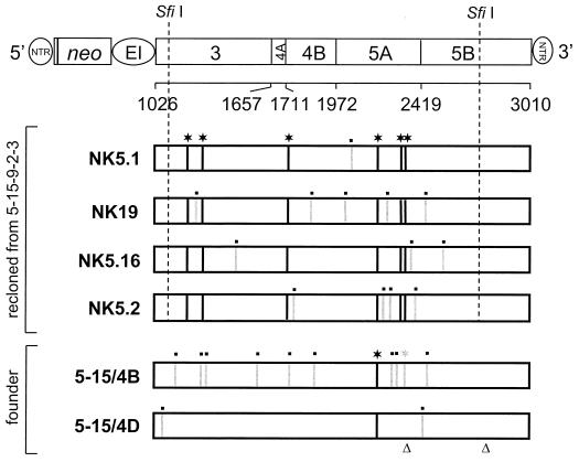 FIG. 1