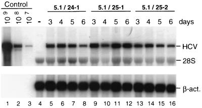 FIG. 7