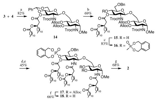 Scheme 2