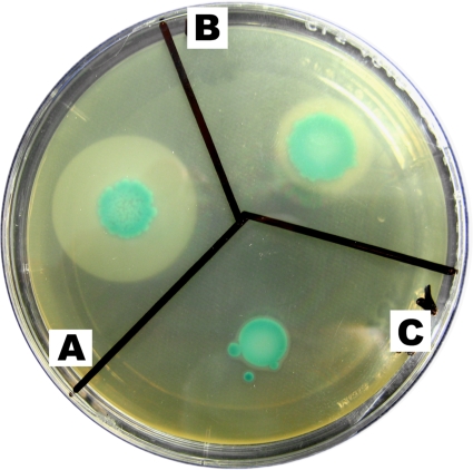 FIG. 3.