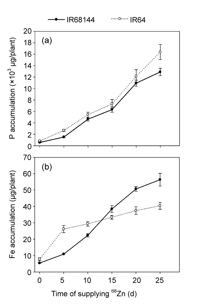 Fig. 5