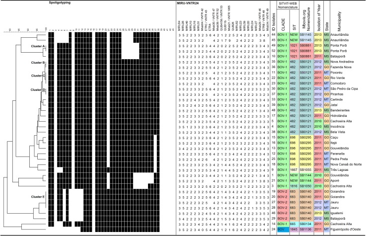 Fig 2