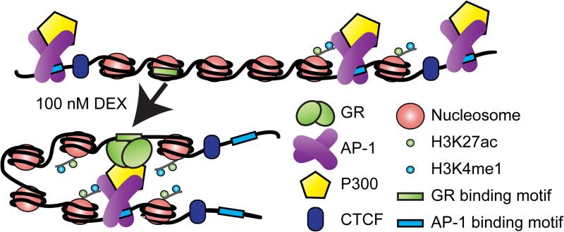 Figure 7