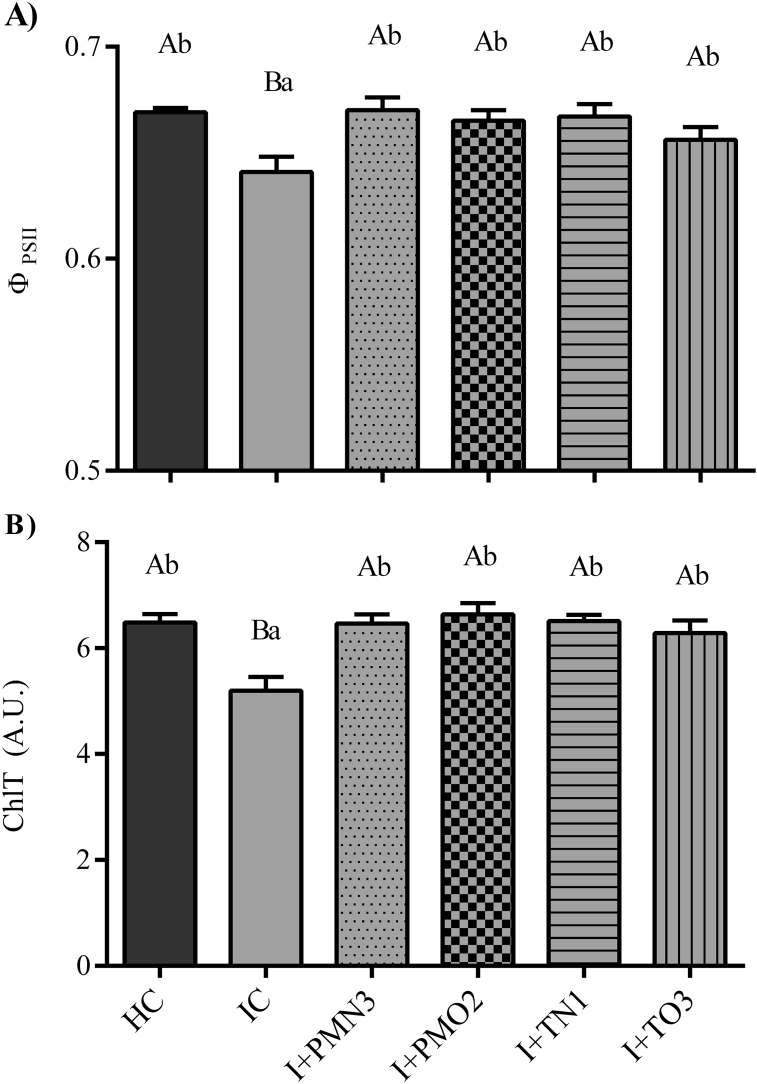 Fig. 4