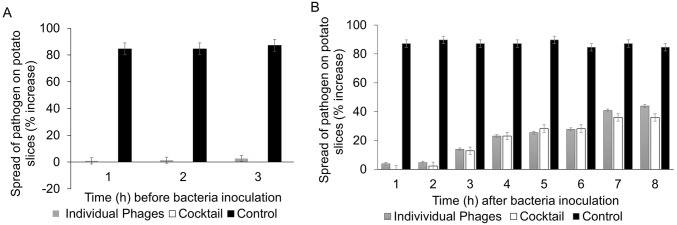 Fig. 4