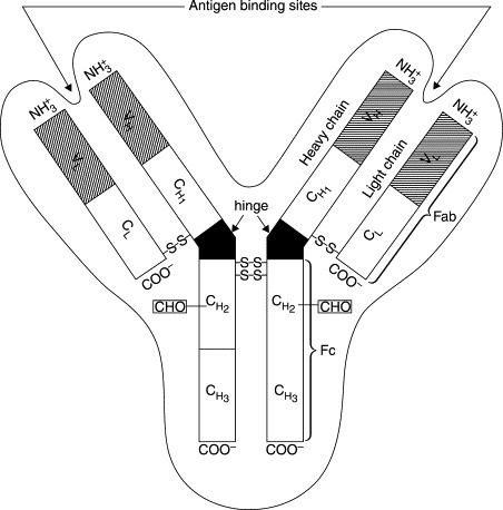 Fig. 10.1
