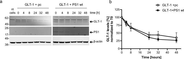 Fig. 5