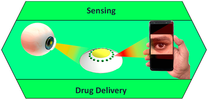 graphic file with name se1c00370_0018.jpg