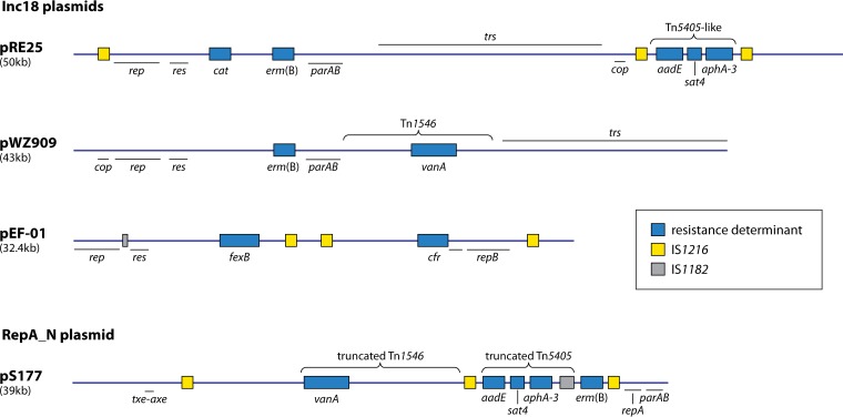 FIG 7