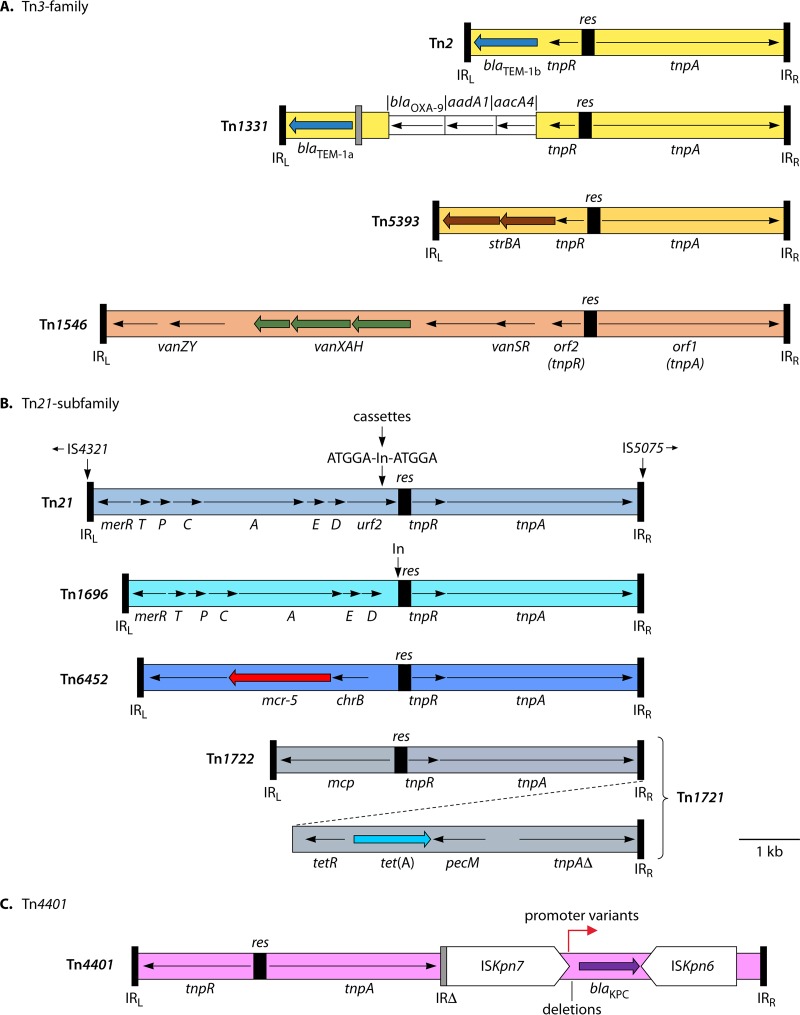 FIG 3