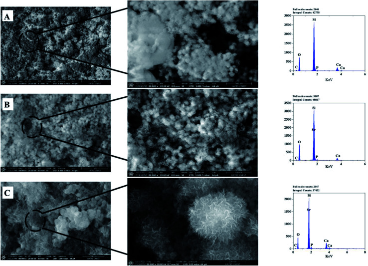 Fig. 10