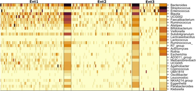 Figure 17