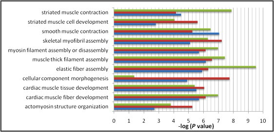 Figure 3