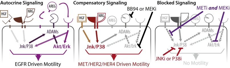 Fig. 9.