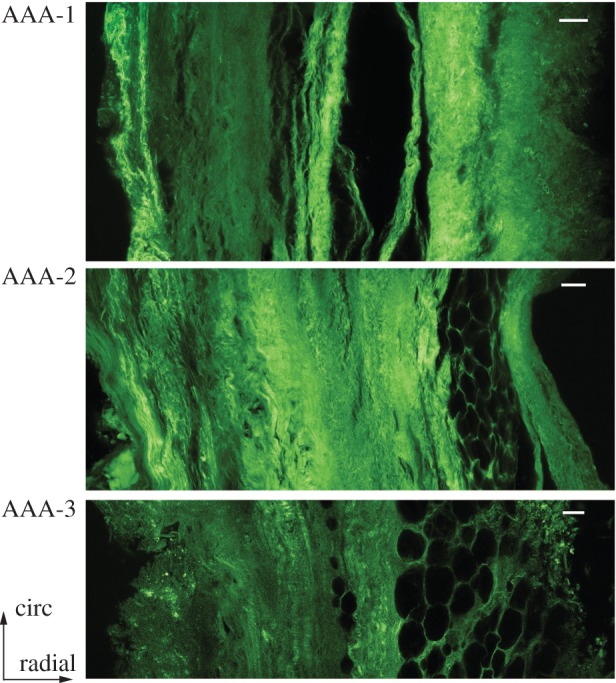 Figure 9.