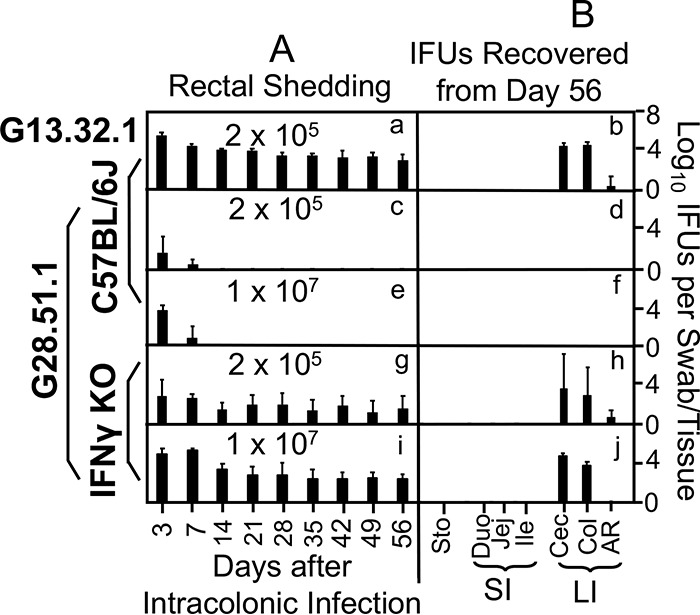 FIG 4