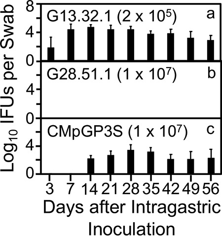 FIG 6