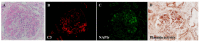 Figure 21