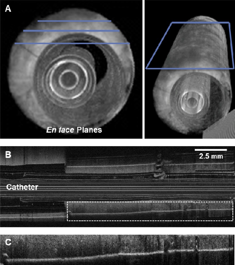 Fig. 5