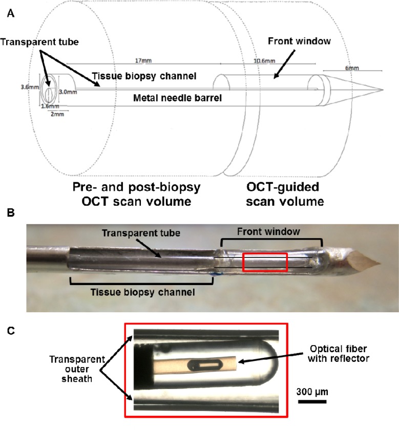 Fig. 3