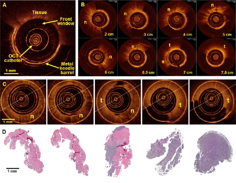 Fig. 4