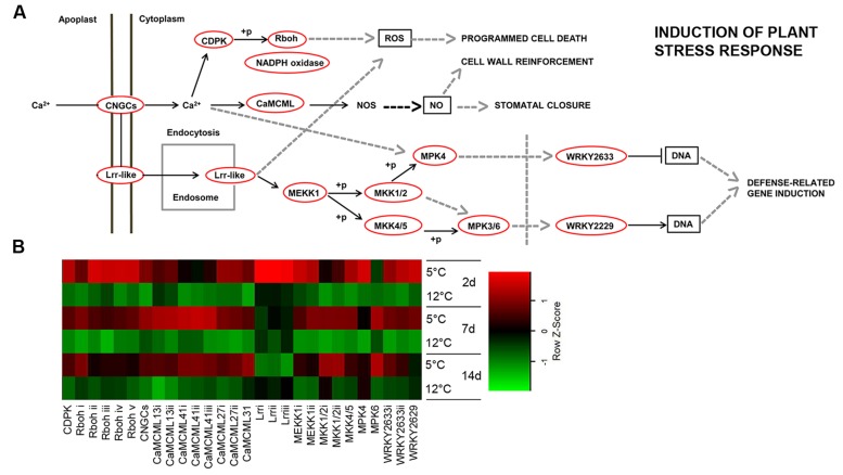 FIGURE 4