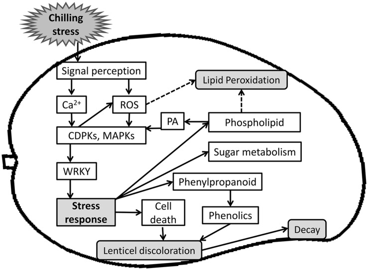 FIGURE 10