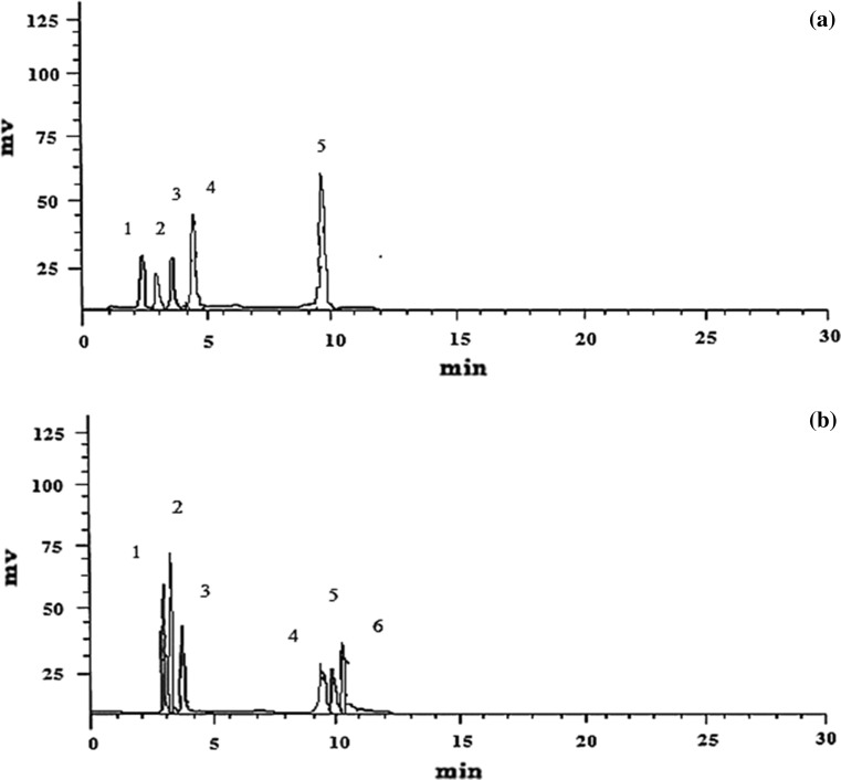 Fig. 1