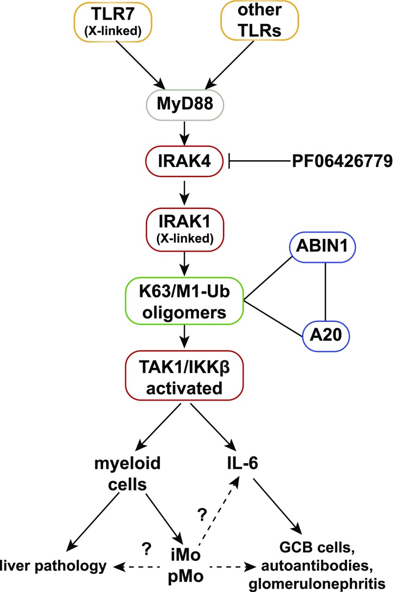 Figure 9.