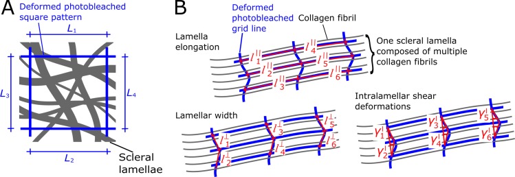 Fig 5