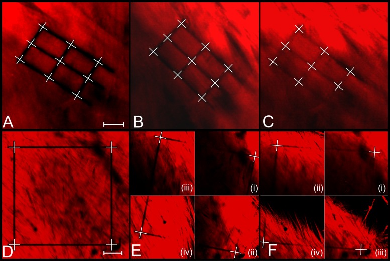 Fig 8