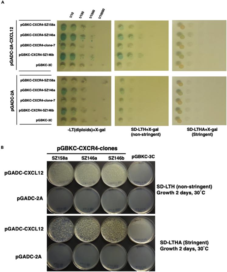 Figure 1