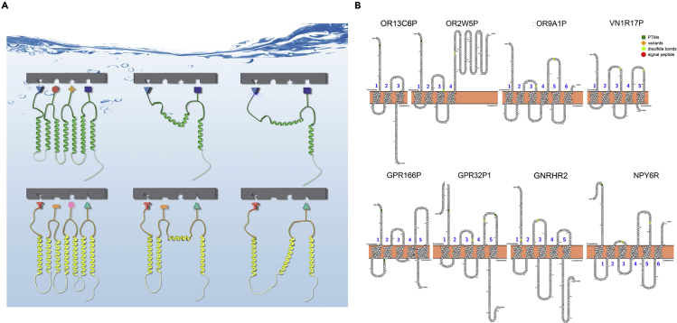 Figure 6