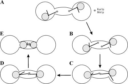 Figure 10.