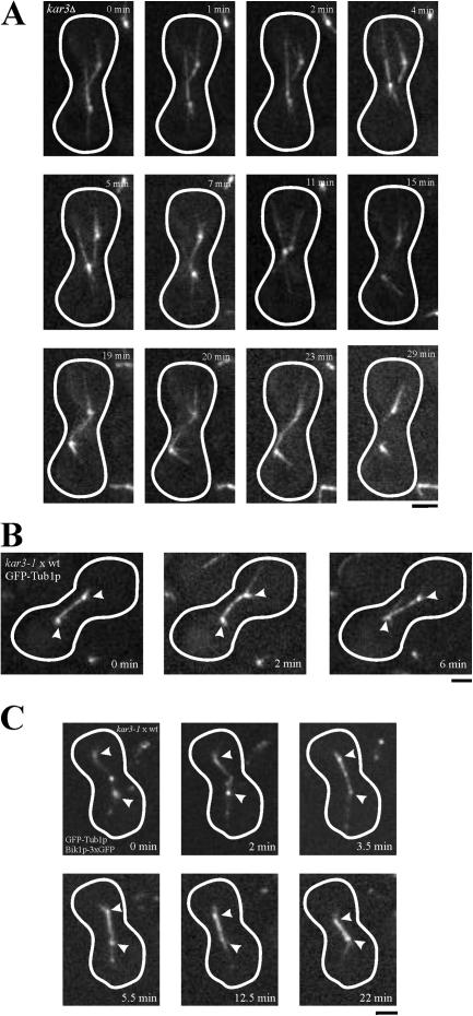 Figure 9.