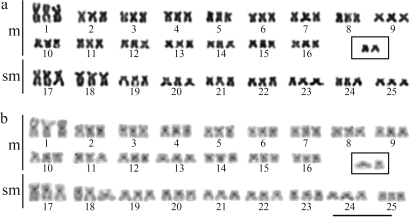 Figure 4-